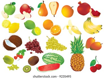 Giant set of vector fruits. Clear, nice and detailed