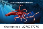 Giant Squid (Architeuthis dux) Vector illustration