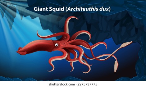 Giant Squid (Architeuthis dux) Vector illustration