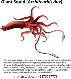 Giant Squid (Architeuthis dux) Ilustración vectorial