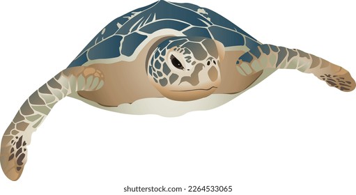 Giant swimming sea turtle vector