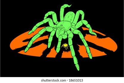 Giant Terrifying Spider Goliath Tarantula Birdeating Stock Vector