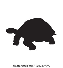 Giant tortoise black vector icon silhouette illustration isolated on plain white background. Wild animal drawing with simple flat art style.