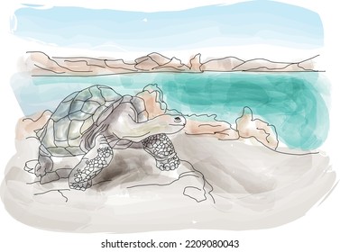 The Giant Tortoise On Bartolome Island In The Galapagos, Pinnacle Rock. Watercolor, Vector Illustration For Post Card, Poster, Calendar