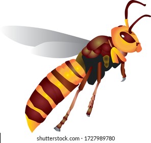 Vector de avispa gigante. Ilustración de insectos