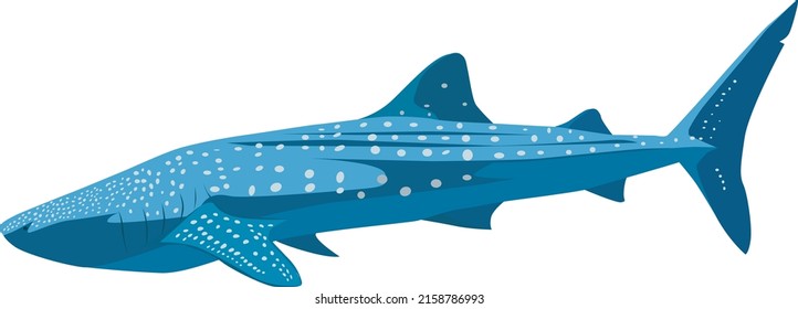 Giant Whale Shark Vector - Whale Shark Illustration