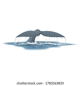 Giant Whale Tail Aquatic Animal In the Ocean
