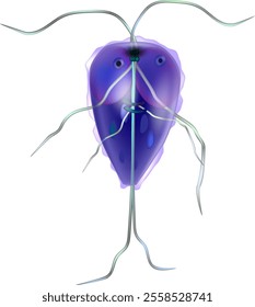 Giardia genus of anaerobic flagellated protozoan giardiasis. Giardiasis. Giardia intestinalis protozoan, formerly known as G. lamblia or Lamblia intestinalis