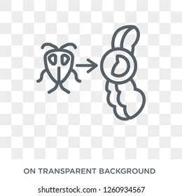 Giardiasis icon. Trendy flat vector Giardiasis icon on transparent background from Diseases   collection. High quality filled Giardiasis symbol use for web and mobile