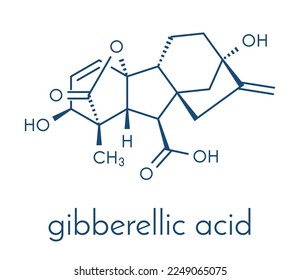 Gibberellic acid (gibberellin A3, GA3) plant hormone molecule. Skeletal formula.