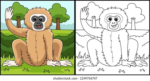 Gibbon Animal Coloring Page Colored Illustration