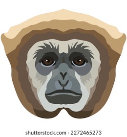 Gibbon. The face of the monkey is depicted in vector style. A vivid image of a primate. Logo, illustration isolated on white background.