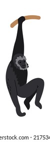 Gibbon monkey Exotic Animal. Vector illustration