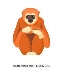 Gibbon Primate Mammal. Monkey In Wildlife. Vector