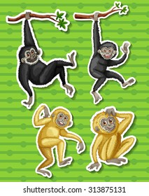 Gibbons in vier verschiedenen Posengrafiken