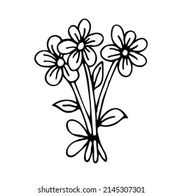 Gift bouquet of flowers line art. Daisy flower. Floral present in a package tied with a bow. Hand drawn vector doodle illustration. Outline drawing.