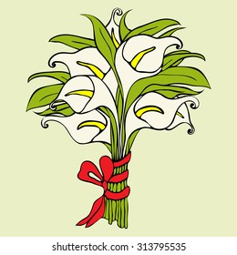 Gift bouquet of flowers. Seven cream calla lilies bound in bunch with red ribbon with a bow. Perfect romantic gift. Vector illustration 