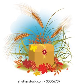 gift box, autumnal leaves and herbs