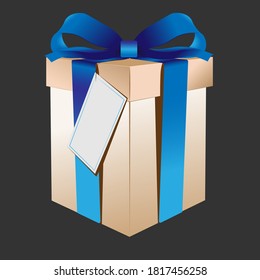 gift box with blue ribbon and insert