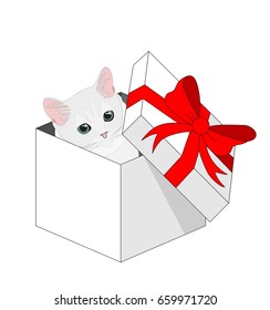 Gift box with a cat