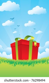 gift box on the grass