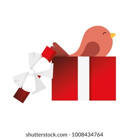 gift box present with bird