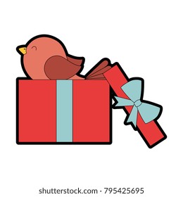 gift box present with bird