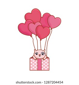 gift box present with cute cat