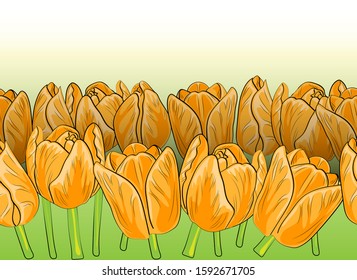 
Gift card Beautiful yellow tulips for Valentine's Day. Seamless pattern of tulip field