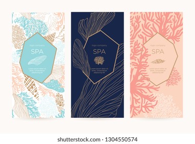 Gift card or certificate with sea shells, algae and corals. Coupon template for special offers for organic shop, beauty salon, spa and seafood restaurant