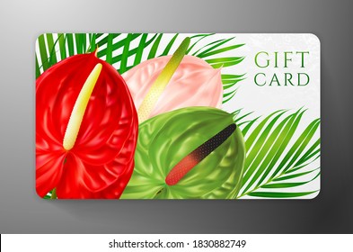 Gift card with tropical exotic realistic asian flower - Anthurium andraeanum (flamingo flower) and green palm branch. Background template useful for wedding design, women shopping card