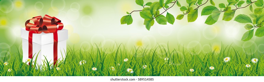Gift carton with beech twigs and white flowers in grass on the bokeh background. Eps 10 vector file.