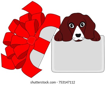 a gift with a dog
