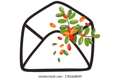 Sobre de regalo con una rama de rowan.
Carta sorpresa.
Diseño plano vectorial.
