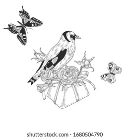 Gift with flowers and birdies and butterflies. Vector hand drawing illustration.