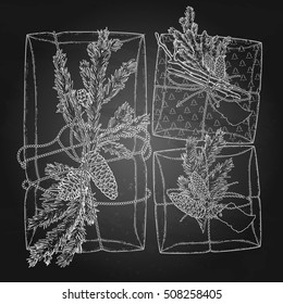 Gift packages made of craft paper with coniferous decorations. Pine tree branches and cones under the snow flakes. Vector design elements isolated on the chalkboard.