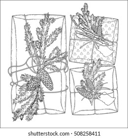 Gift packages made of craft paper with coniferous decorations. Pine tree branches and cones under the snow flakes. Coloring book page design for adults and kids.