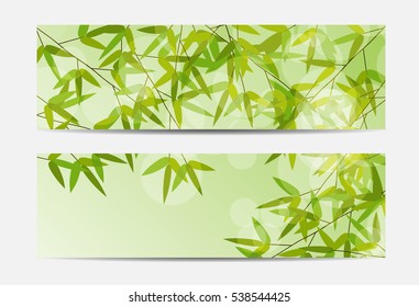 Gift Voucher Template with bamboo in the background. Vector Illustration. EPS10