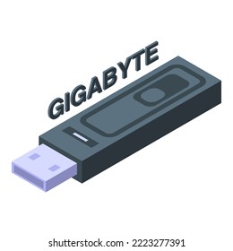 Vector isométrico del icono de flash usb de gigabyte. Datos de Sd. Almacenamiento de tarjetas