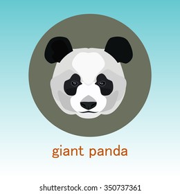 Gigant panda. Face flat icon design. Animal icons series.