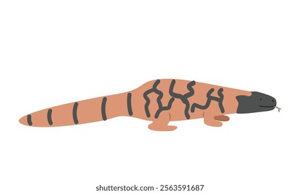 Gila monster cartoon clipart. Gila monster vector illustration in flat style. Hand-drawn wild animal concept