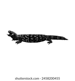 Vector de dibujo a mano Gila Monster aislado sobre fondo blanco.