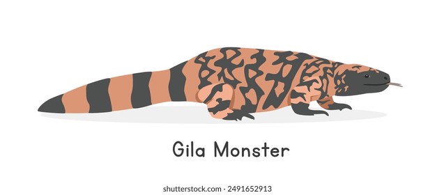 Gila monster vector illustration, cartoon clipart character, animal in flat style. Wild animals, wild creatures, wildlife concept. Gila monster vector design isolated on white background