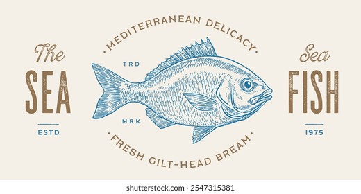 Gilt-head bream, fish, Dorado, seafood, sketch. Vintage retro print, seafood fish sketch, logo sign template, ink pencil style drawing, engrave old school. Hand drawn sketch fish. Vector Illustration