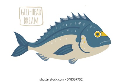 Gilt-Head Bream vector illustration