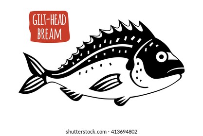 Gilt-head bream, vector illustration, cartoon style