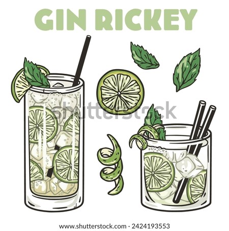 Gin rickey cocktail vector set with mint and lime for cocktail bar or drink summer party. Mojito cocktail with rum, bourbon for beach bar and cafe menu.