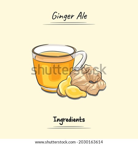 Ginger Ale Illustration Sketch And Vector Style. Good to use for restaurant menu, Food recipe book and food ingredients content.