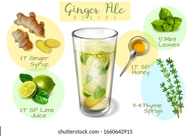 Ginger ale recipe infographics. Isolated realistic ingredients on a white background. Ginger, thyme, honey, lime, glass glass with lemonade, mint. Vector illustration