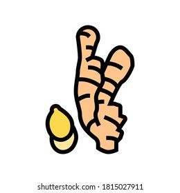 ginger aromatherapy color icon vector. ginger aromatherapy sign. isolated symbol illustration